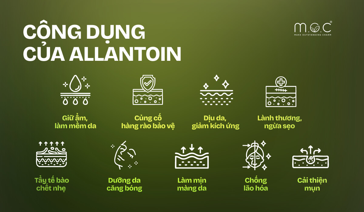 Allantoin có tác dụng gì trong mỹ phẩm?