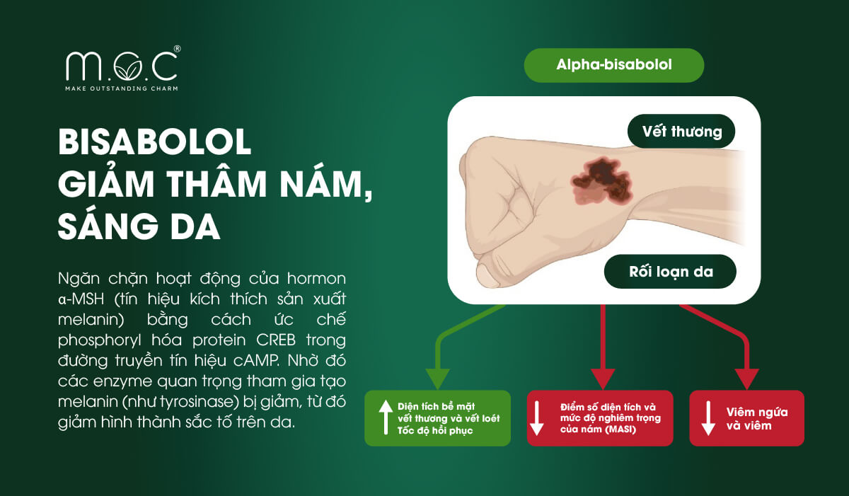 Bisabolol giúp giảm thâm nám, sáng da