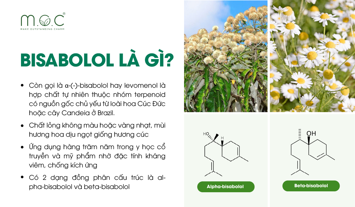 Bisabolol là thành phần làm dịu da nổi tiếng, thường xuất hiện trong các sản phẩm chăm sóc da, đặc biệt dành cho da nhạy cảm