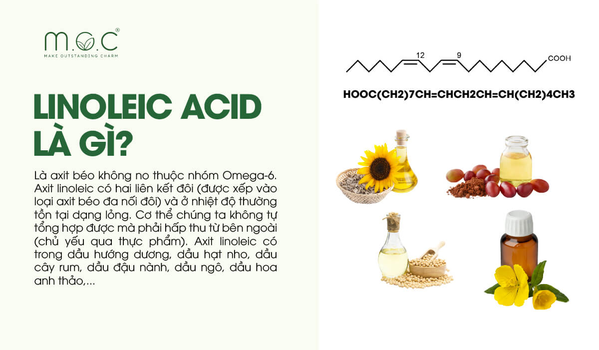 Linoleic Acid là gì?