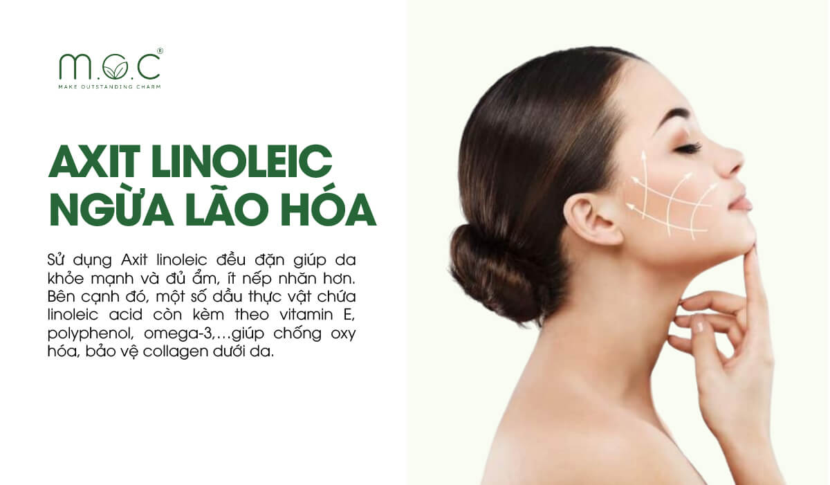 Linoleic Acid giúp ngừa lão hóa da như thế nào?
