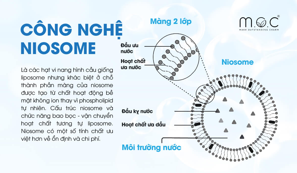 Niosome cũng là các hạt vi nang hình cầu được tạo từ chất hoạt động bề mặt không ion