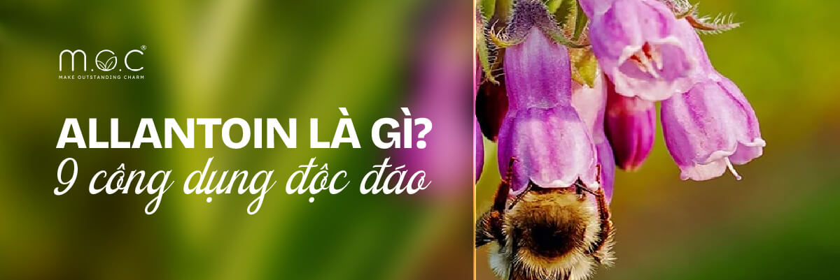 banner single
