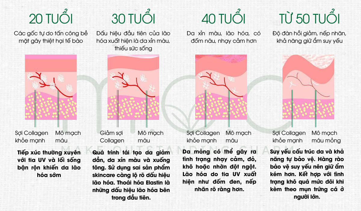 Tốc độ lão hóa da thông thường