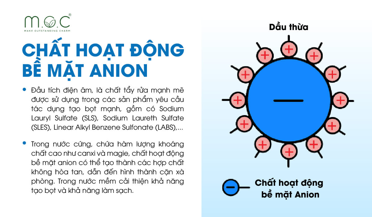Chất hoạt động bề mặt Anion