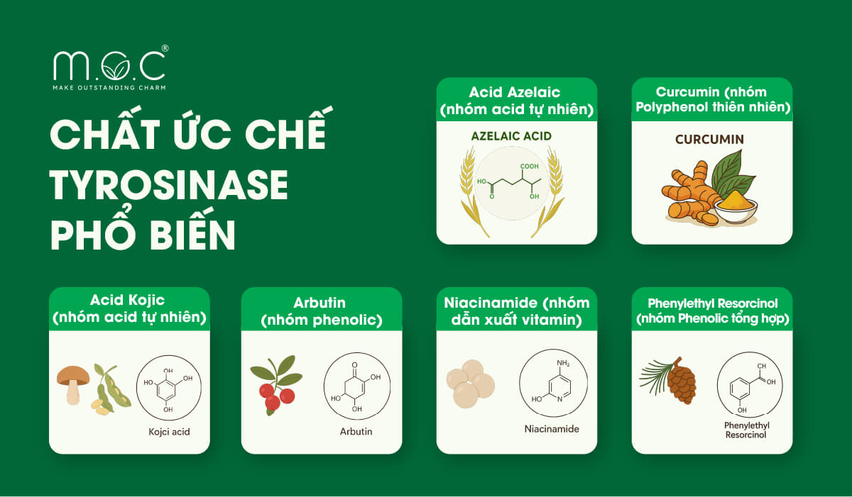 Một số chất ức chế tyrosinase an toàn