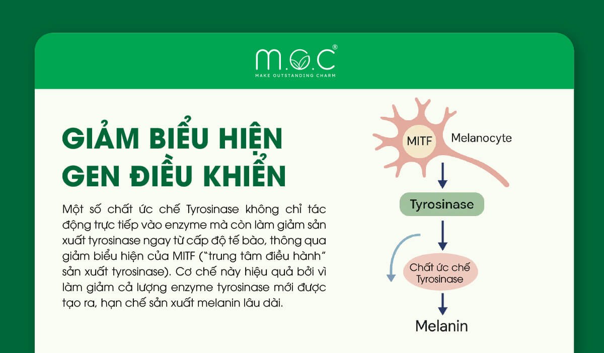Giảm biểu hiện gen điều khiển tyrosinase