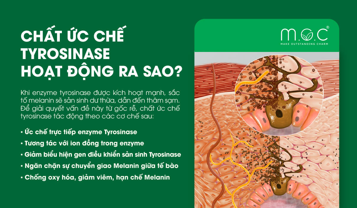 Chất ức chế tyrosinase hoạt động ra sao?
