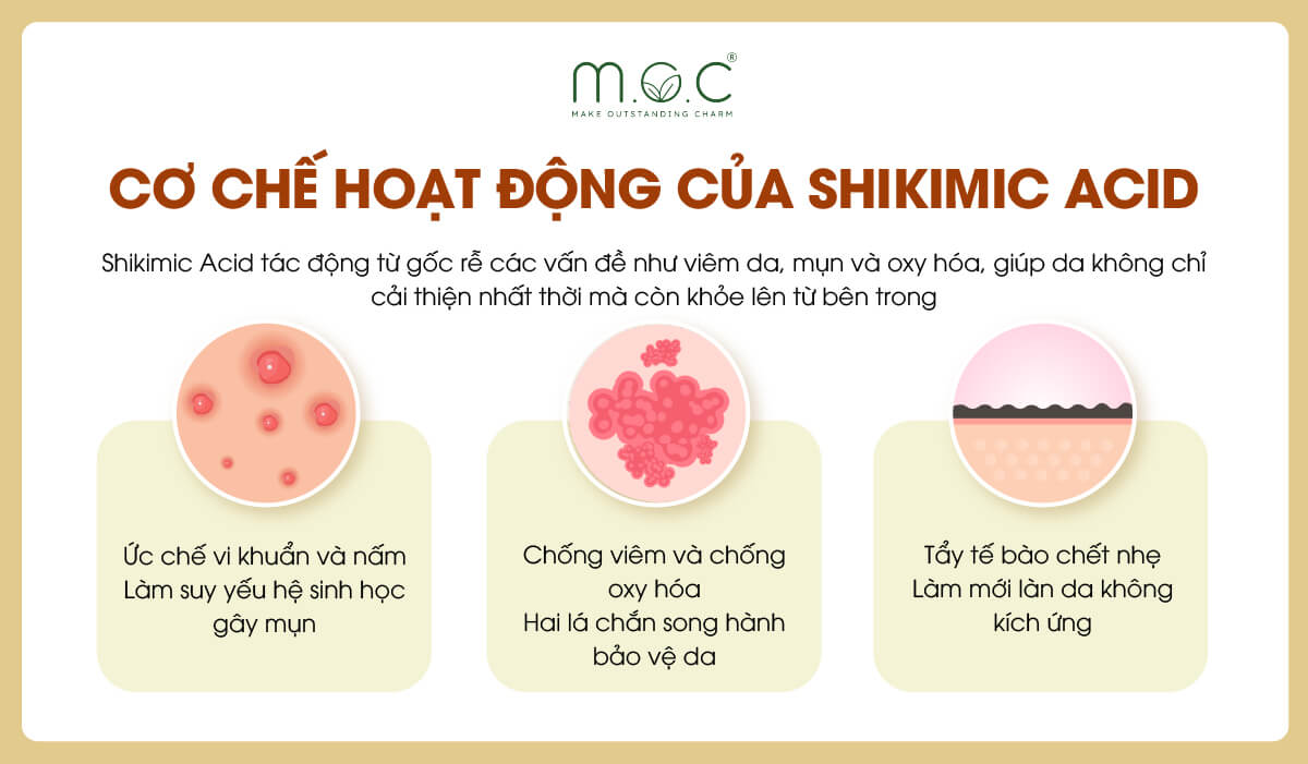 Cơ chế hoạt động của Shikimic Acid