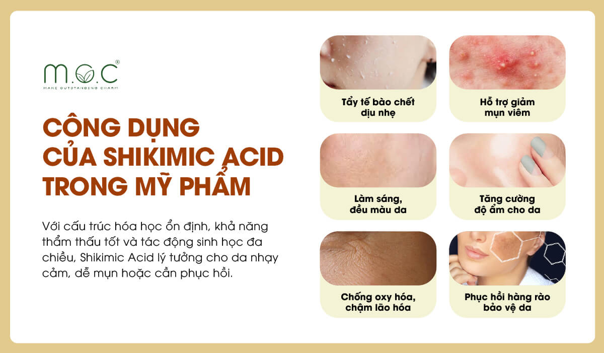 Công dụng của Shikimic Acid trong mỹ phẩm