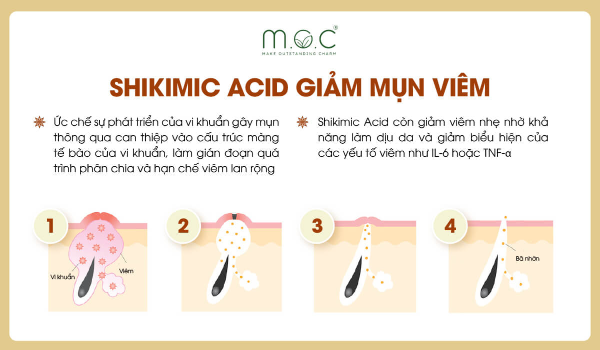 Shikimic Acid trị mụn hiệu quả và an toàn