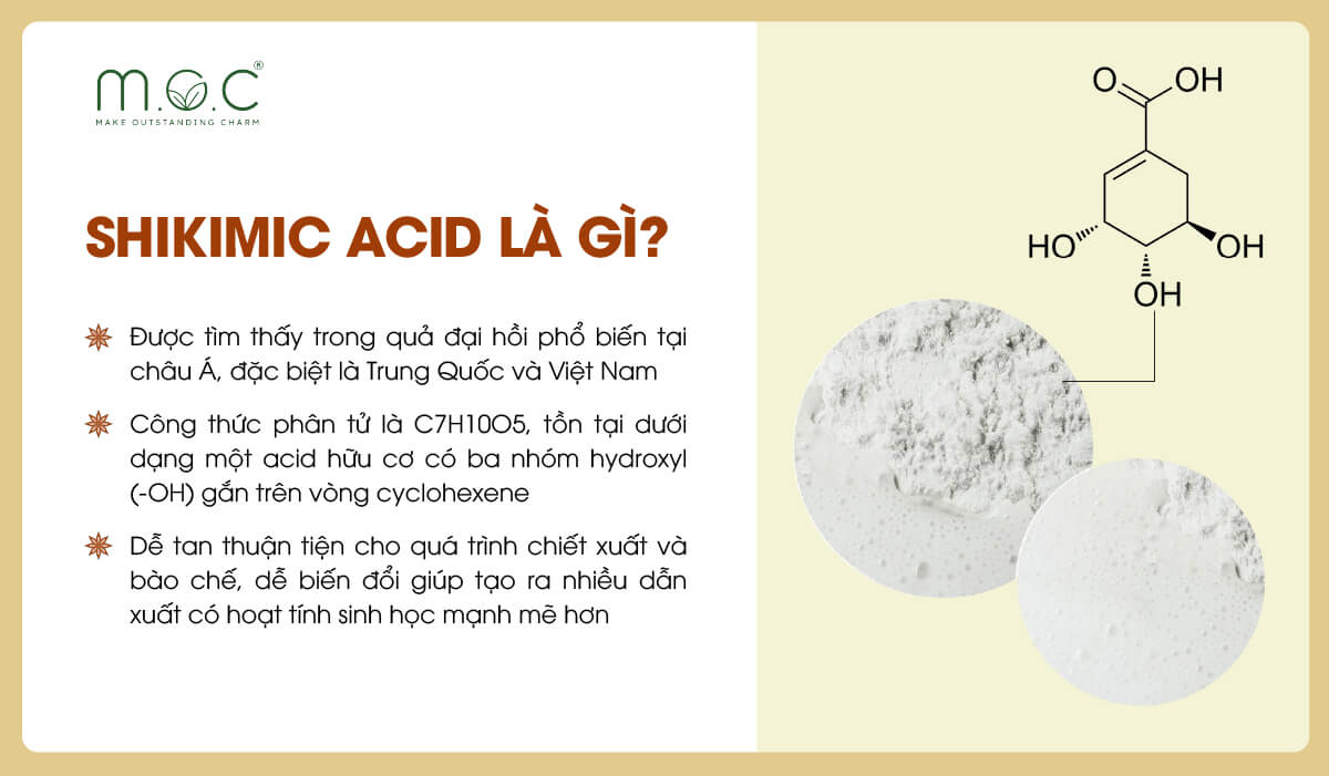 Shikimic Acid là gì?