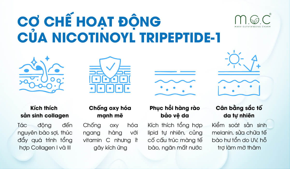 Cơ chế hoạt động của Nicotinoyl Tripeptide-1