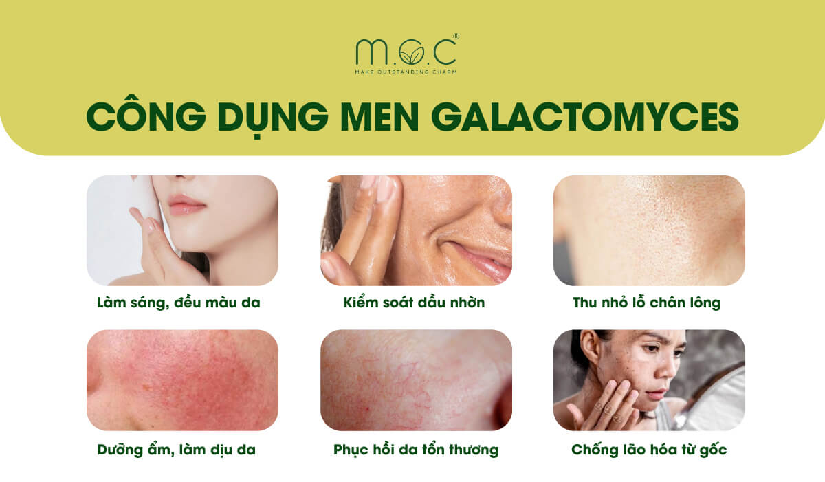 Công dụng nổi bật của men Galactomyces