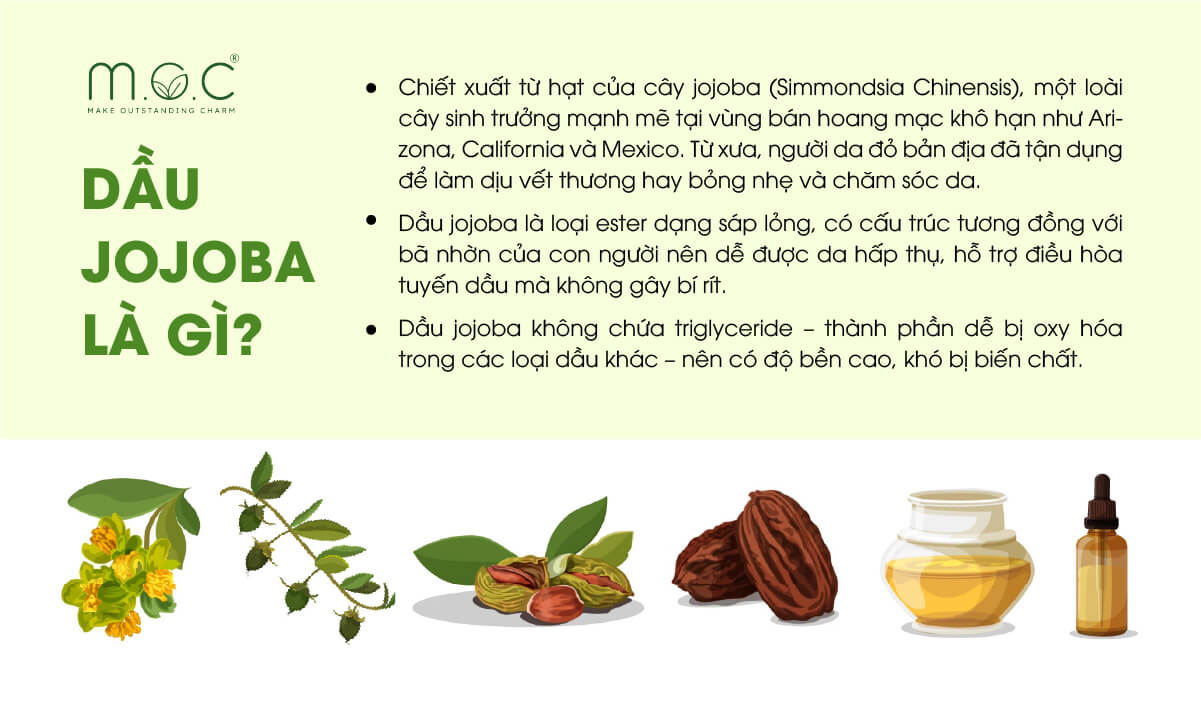 Dầu jojoba là gì?