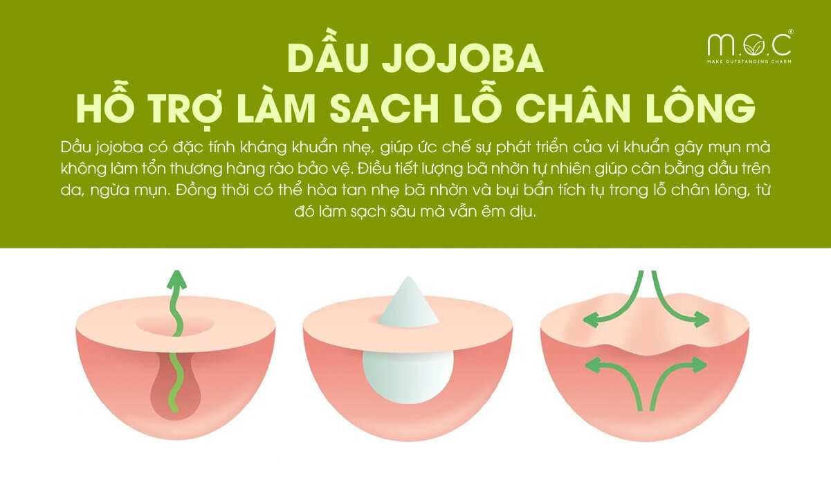 Dầu jojoba hỗ trợ làm sạch lỗ chân lông
