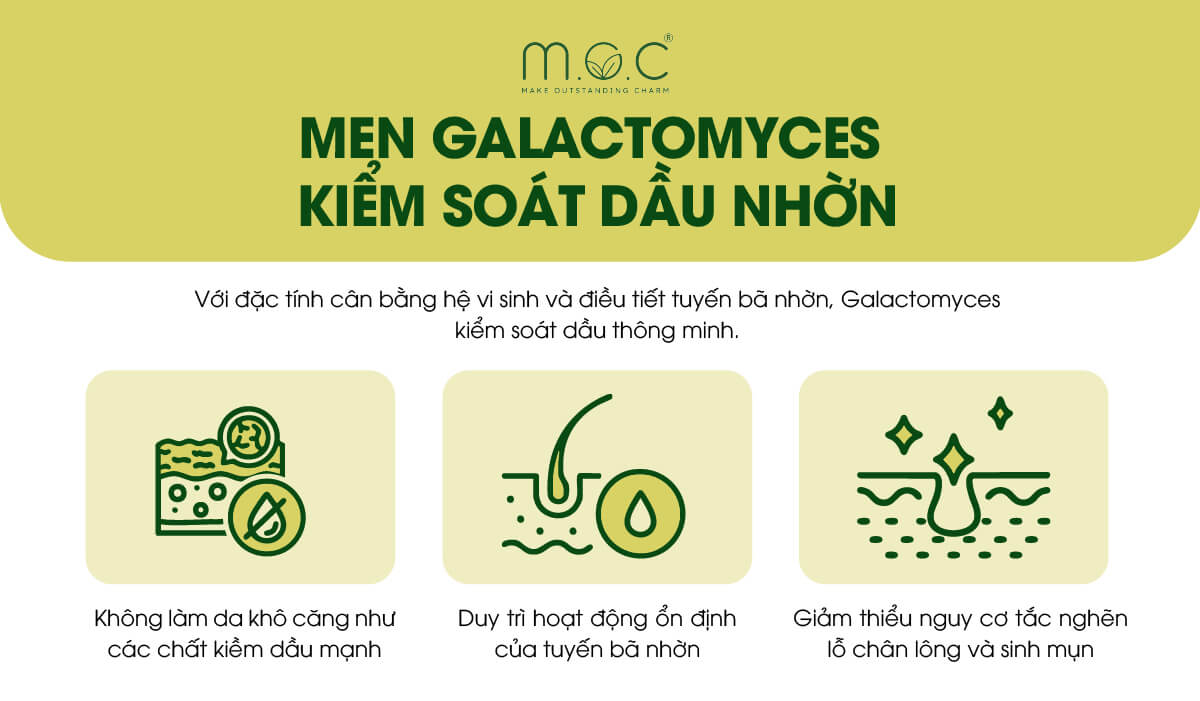 Men Galactomyces giúp kiểm soát dầu nhờn, ngừa mụn