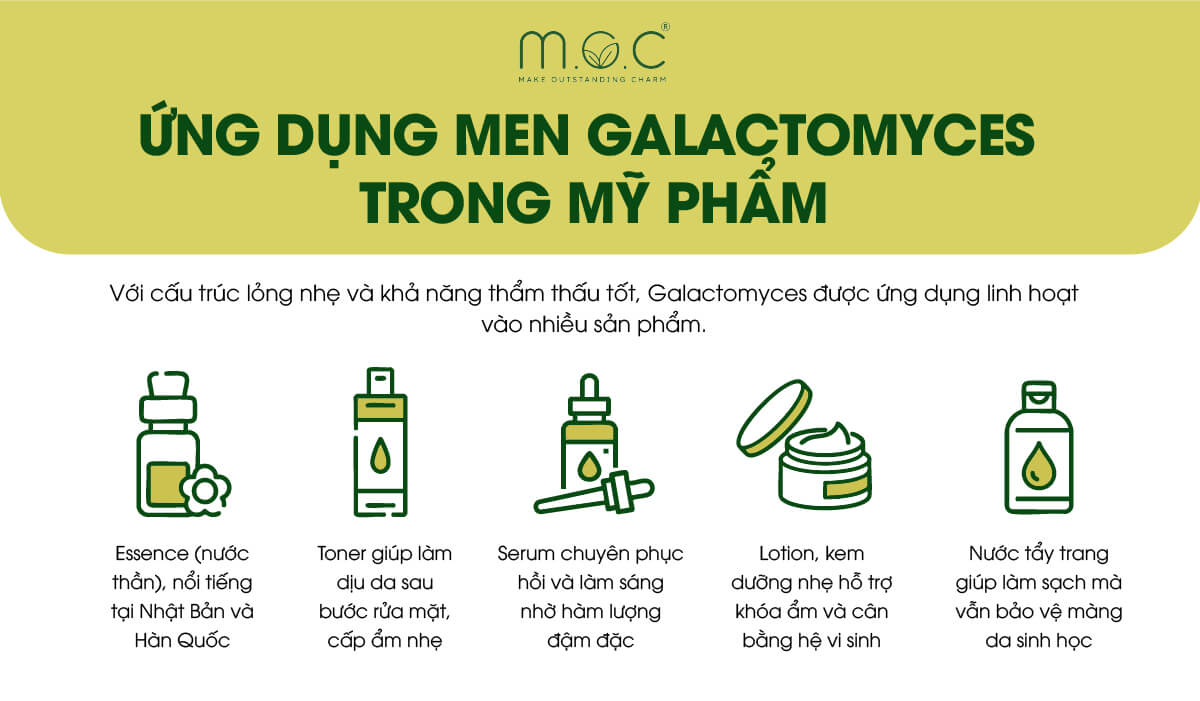 Những ứng dụng của men Galactomyces trong mỹ phẩm