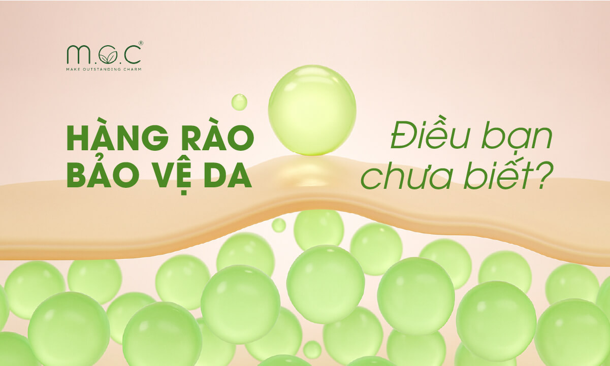 Hàng rào bảo vệ da
