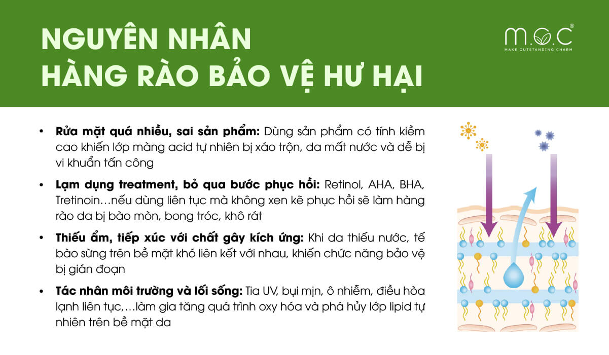 Nguyên nhân hàng rào bảo vệ da bị tổn thương