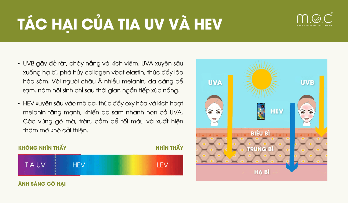 Các tác hại của tia UV và ánh sáng xanh (HEV) đối với làn da