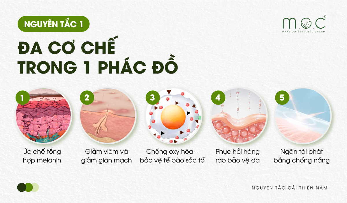 Nguyên tắc1 cải thiện sắc tố melanin: Đa cơ chế, không hoạt chất đơn lẻ nào đủ hiệu quả