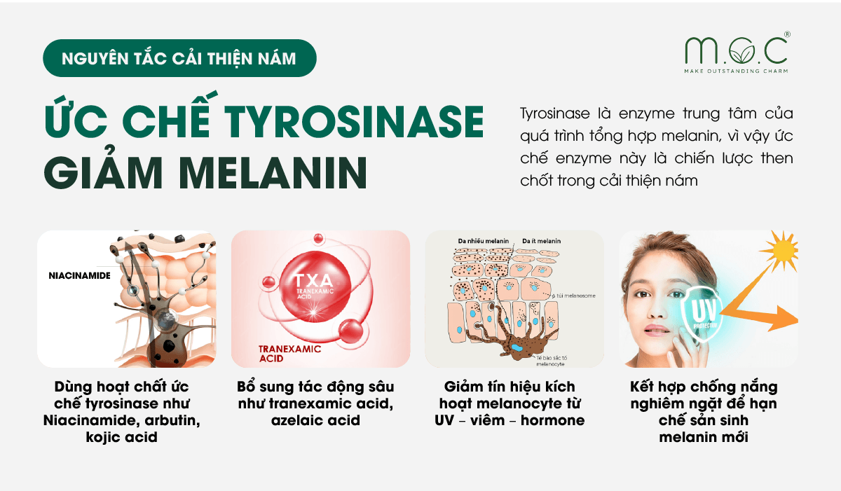 Cải thiện nám da bằng cách ức chế enzyme tyrosinase giúp giảm tổng hợp melanin ngay từ gốc
