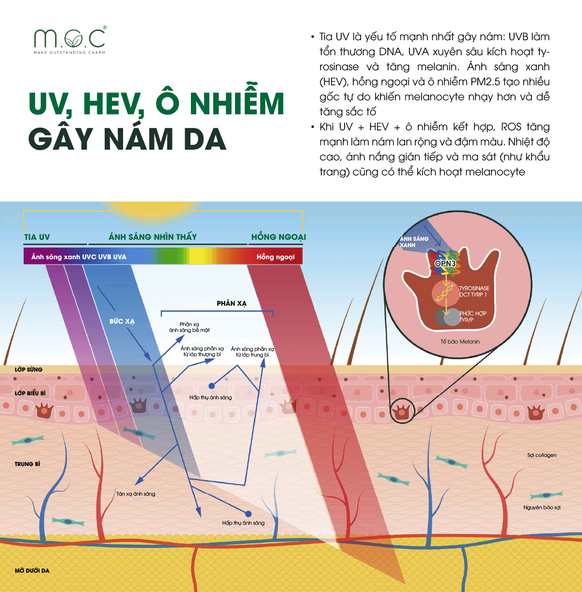 Tia UV, ánh sáng HEV và ô nhiễm tạo stress oxy hóa, kích thích melanocyte tăng sản xuất melanin dẫn đến nám da