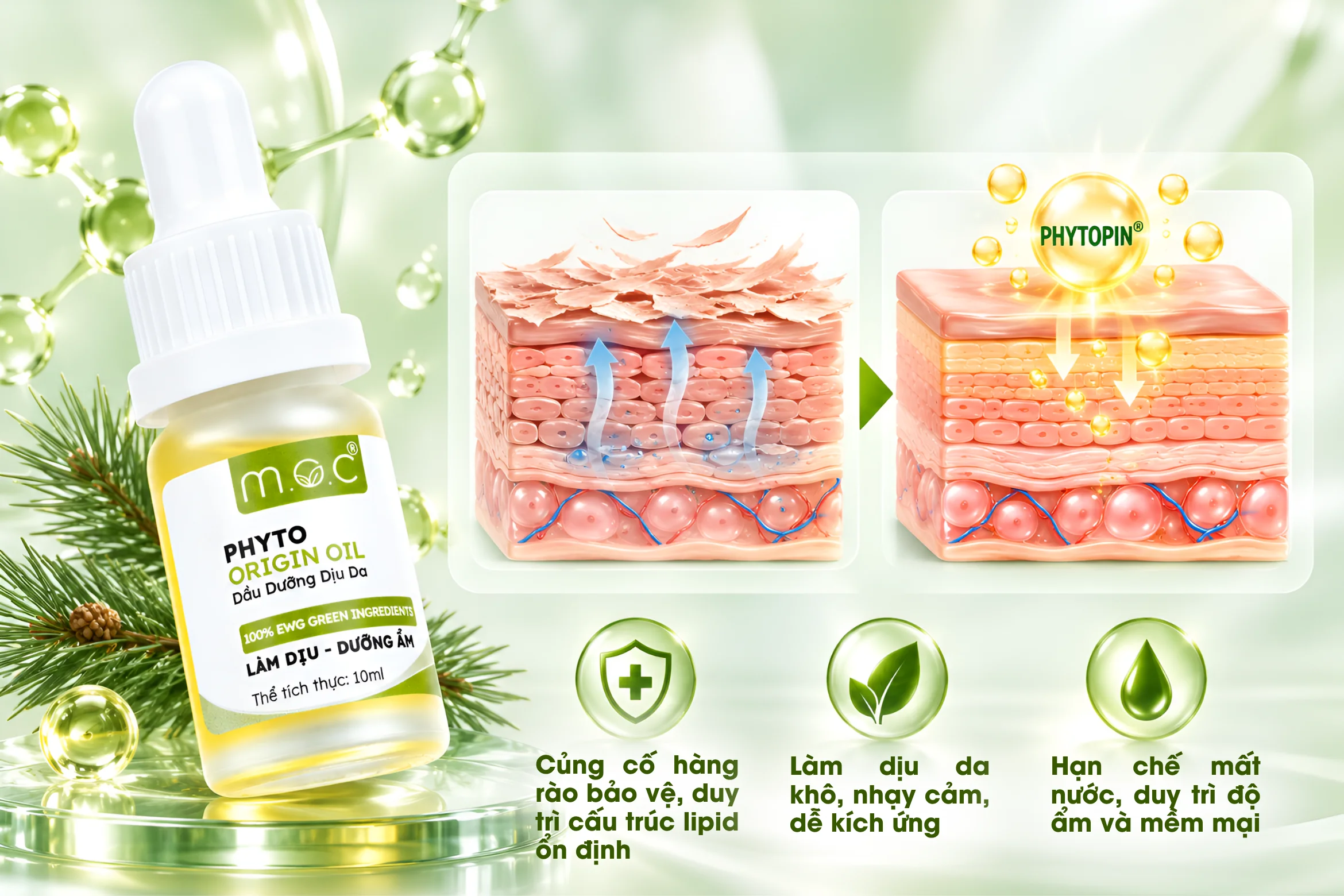 dau-duong-diu-da-phyto-origin-4
