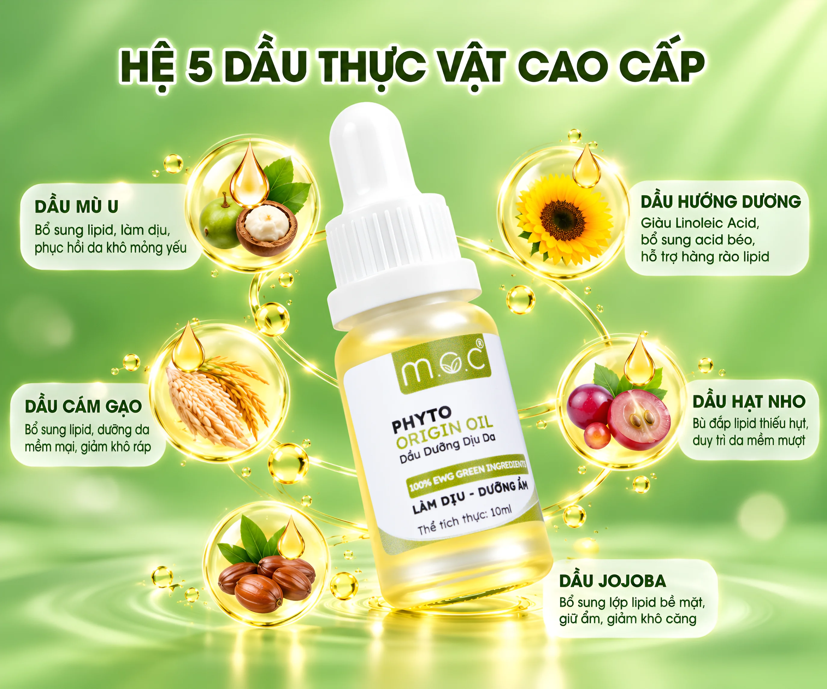 dau-duong-diu-da-phyto-origin-5