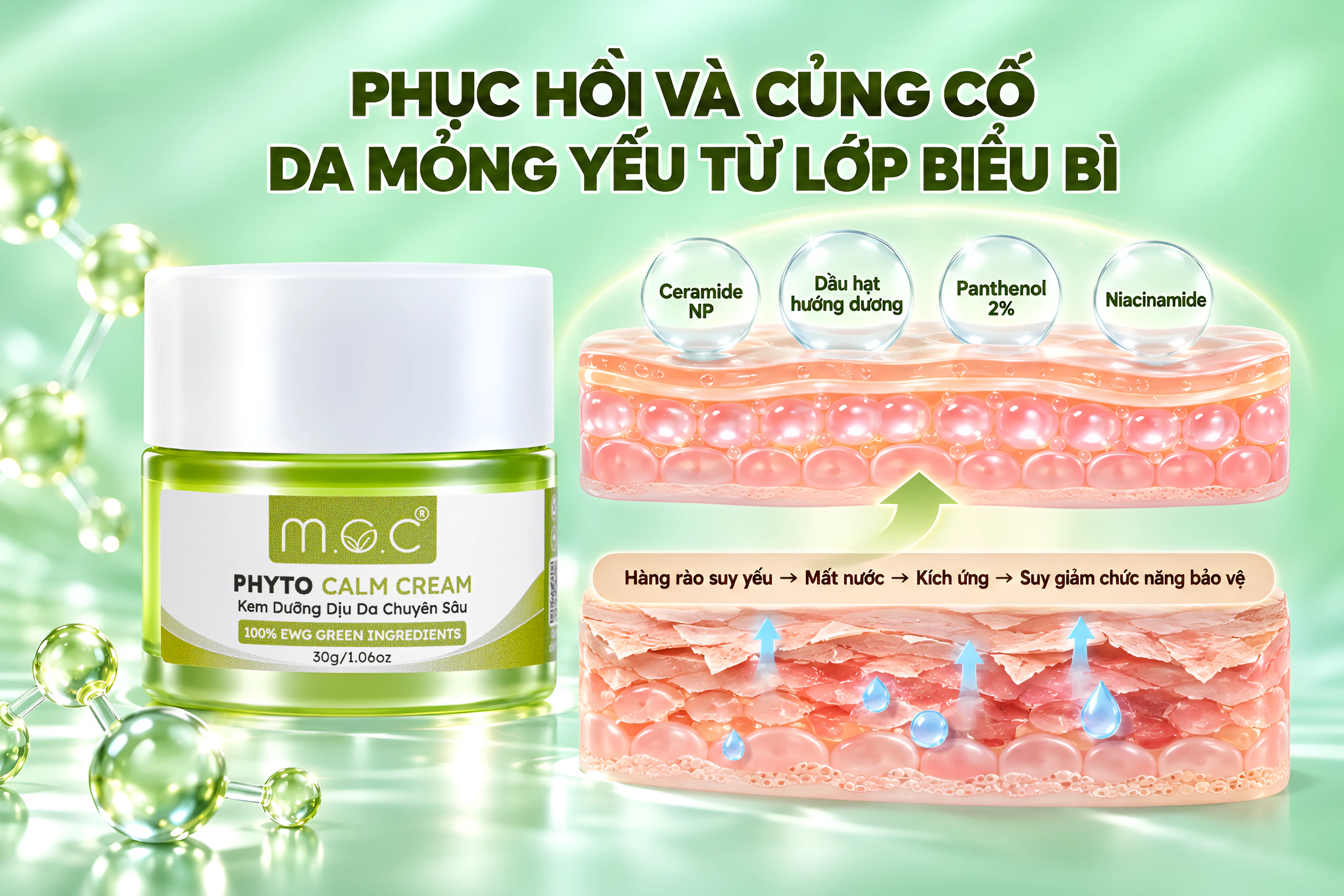 Kem-phuc-hoi-Phyto-Calm_MOC-2